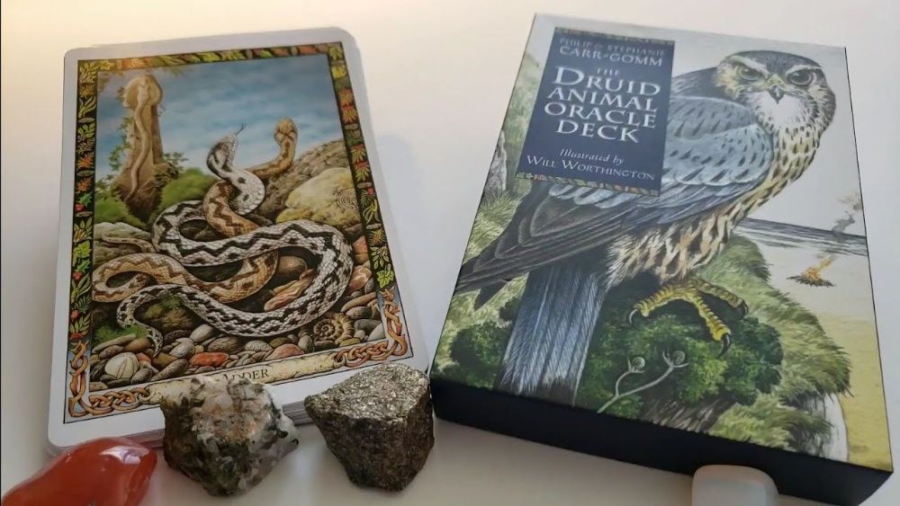 Animal Druid-Carti Oracol/tarot-Lucru cu Animale sacre,Traditie CELTIC