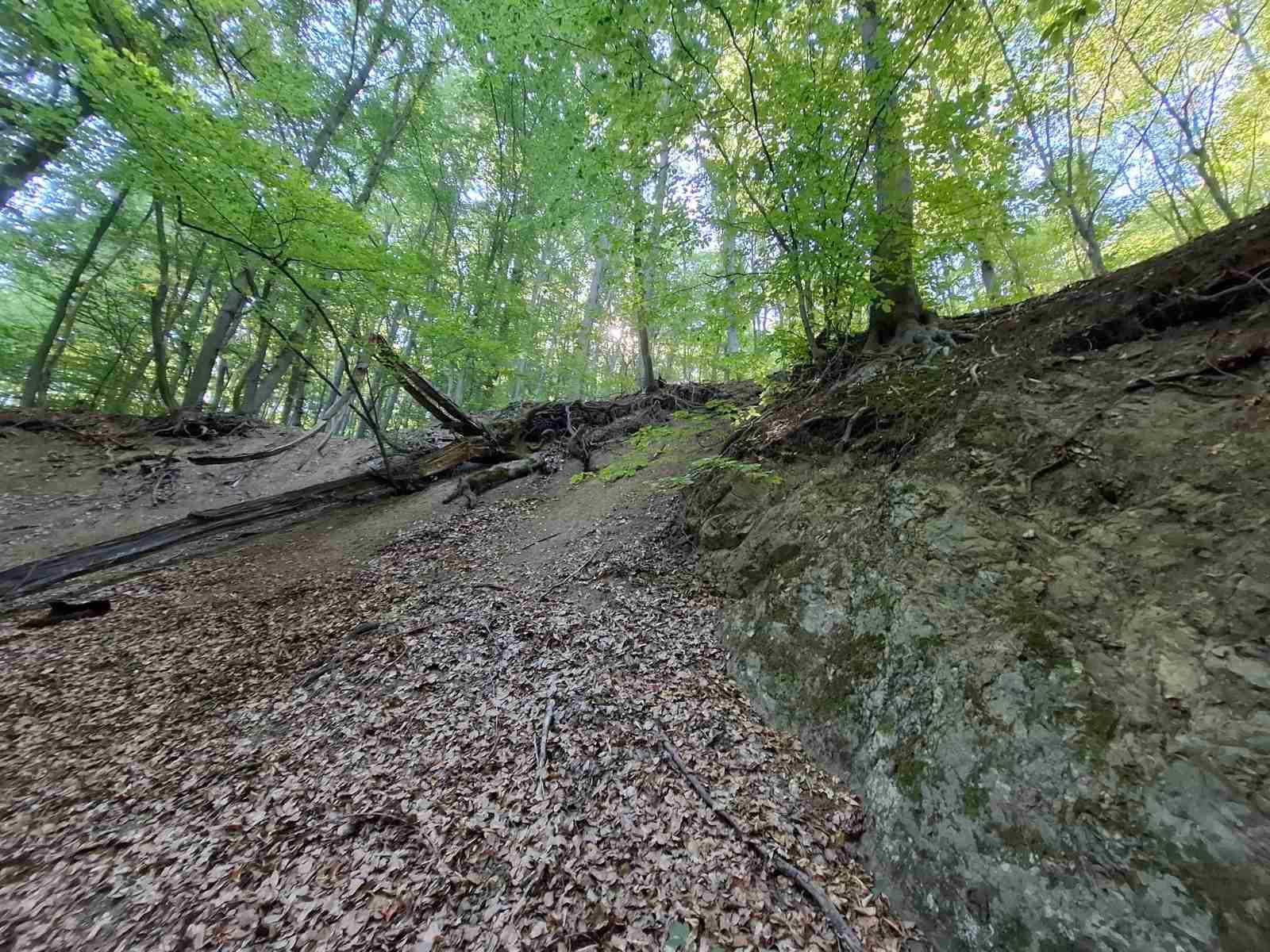 Гористи парцели в гр.Банкя
