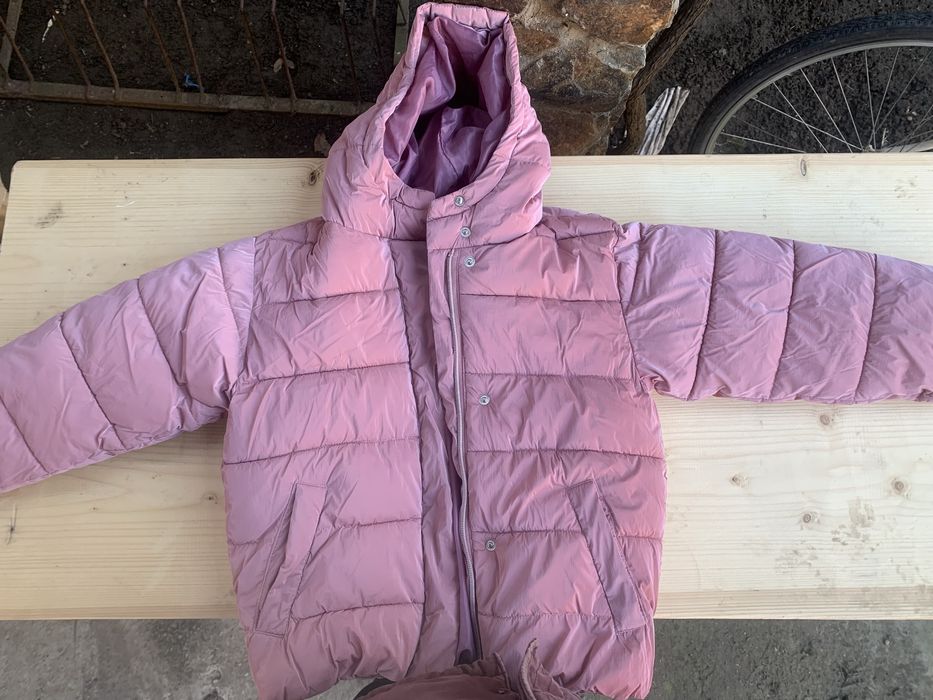 Geci fetite diverse marimi