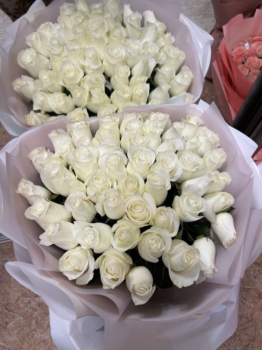 51 роза метровый