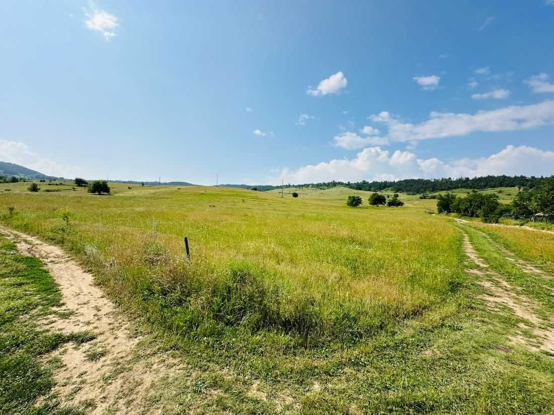Земеделска земя до регулация село Горно Крайще, град Белица