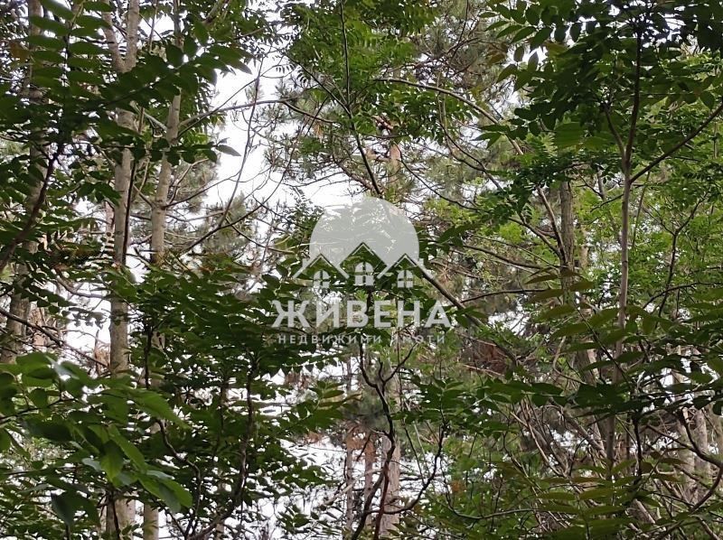 Продава се Парцел в Варна, м-т Сотира - 1200 кв.м за 89 €/кв.м - Снимка #4