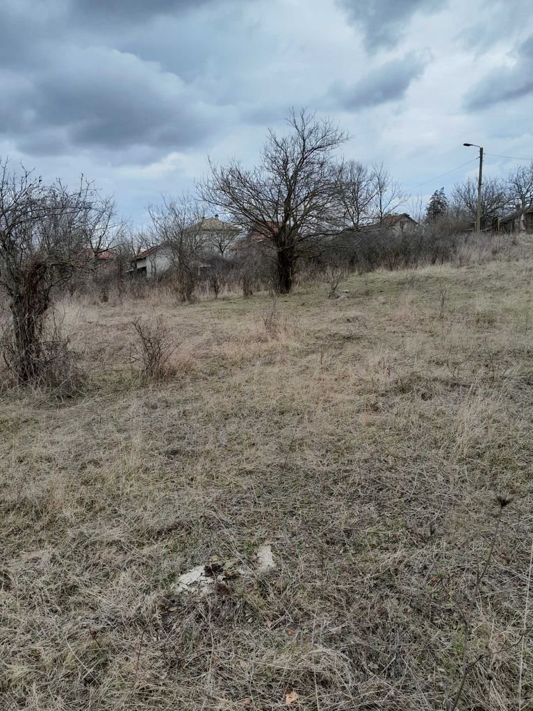 Продава се Парцел в Монтана, Кошарник - 1200 кв.м за 6 €/кв.м - Снимка #4