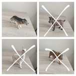 Фигурки Schleich