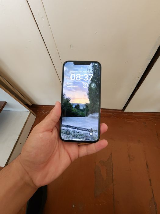 Iphone 12 pro max