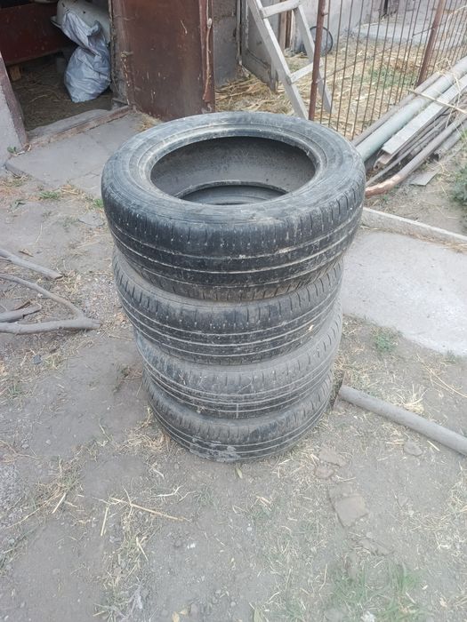 Балон  14 састаяня норм