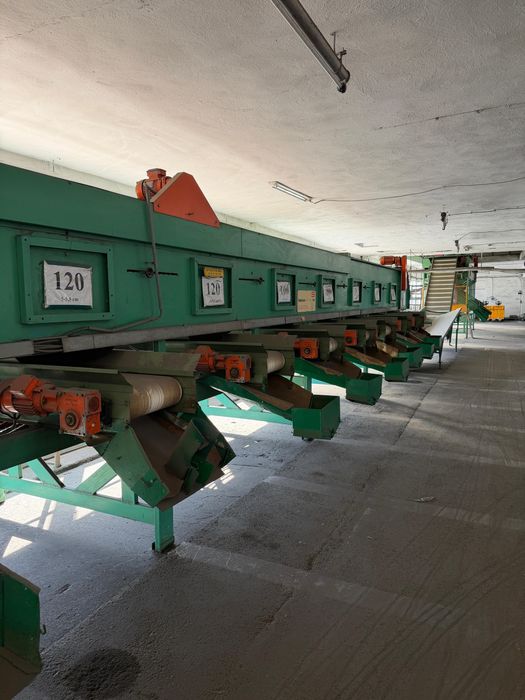 Statie de sortare castraveti cornison