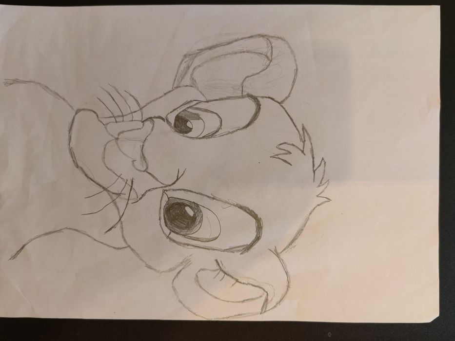 Vând desene în creion