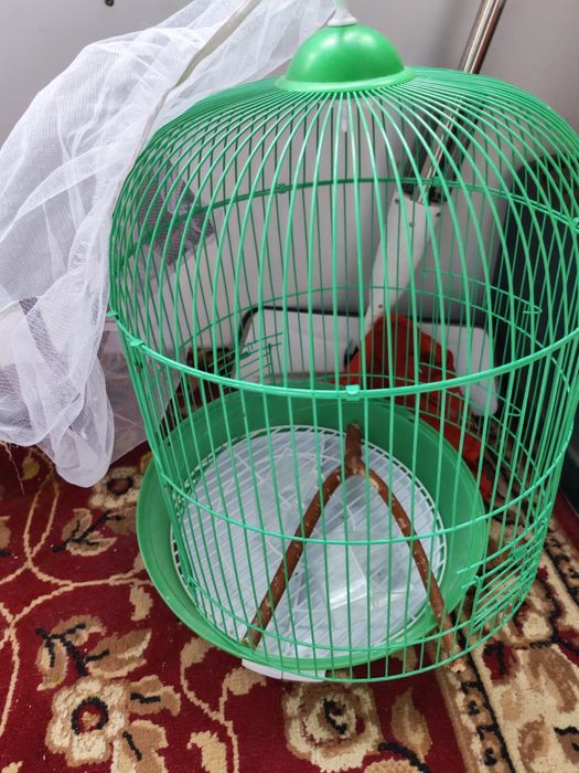Продам клетку для попугаев