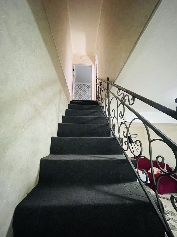Kotej arzon narhda sotiladi 57000