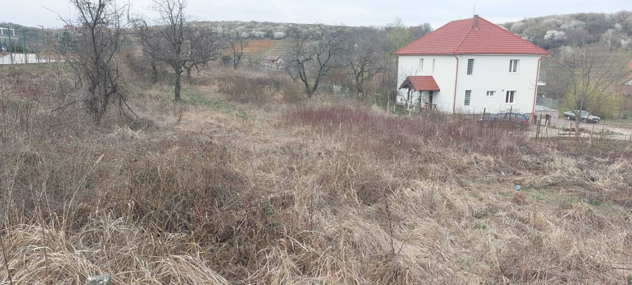 Teren Intravilan Oradea - cu PUD si proiect de casă - Dealurile Oradea