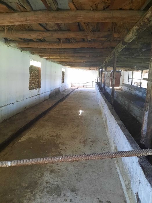 Ферма сотилади келишилган нархда