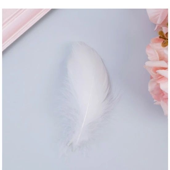 Перья для праздника, творчества