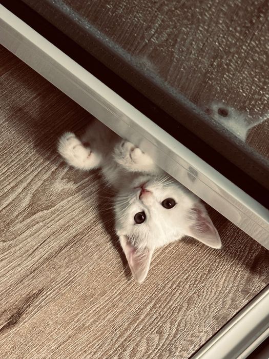 Прежде чем звонить, читайте!!!