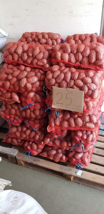 grau ,porumb,uruiala