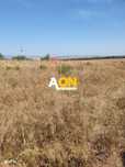 Oportunitate investitie. Oarda de Jos, 16 parcele de 490 mp