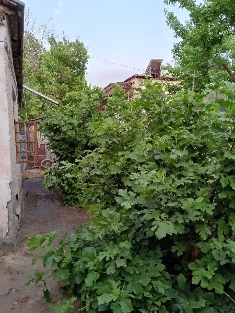 Срочно продается дом почти в центре Самарканда