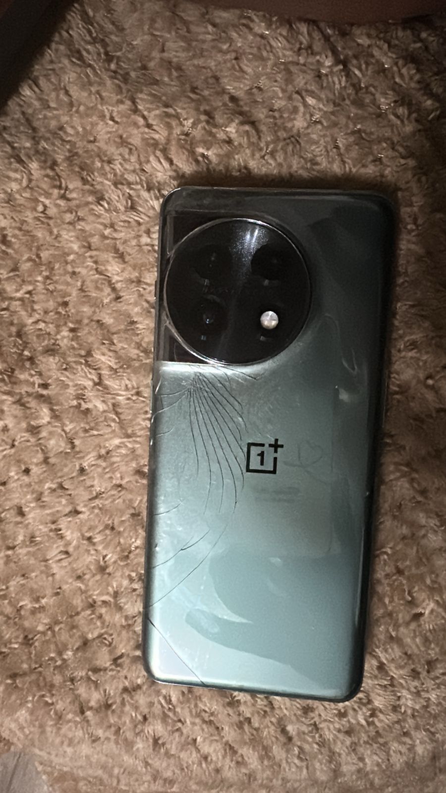 One plus 11 16+12/256