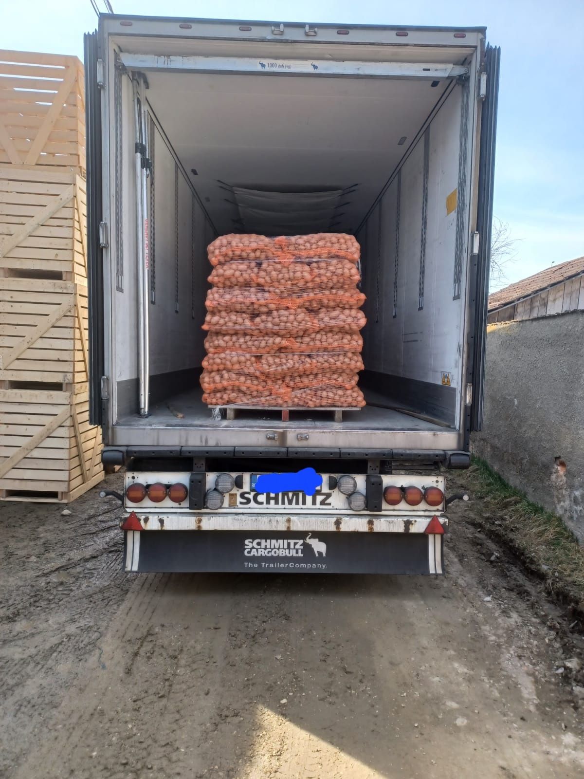 Cartofi de samanta, cantitate mare, preț 1 ron/kg