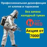 Дезинфекция дезинсекция клоп таракан мышь насеком муравей