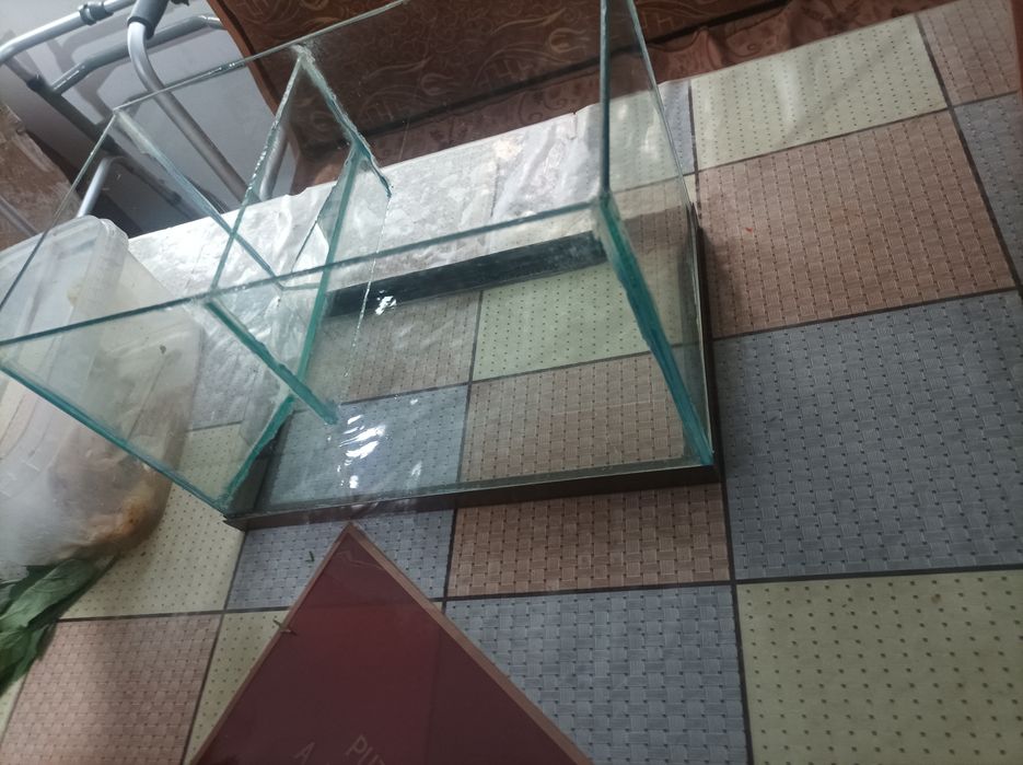 Аквариум для рыбки