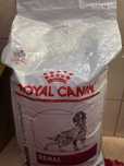 Hrană uscată Royal canin