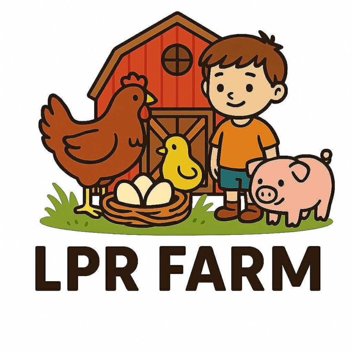 Vand oua de gaina si rata