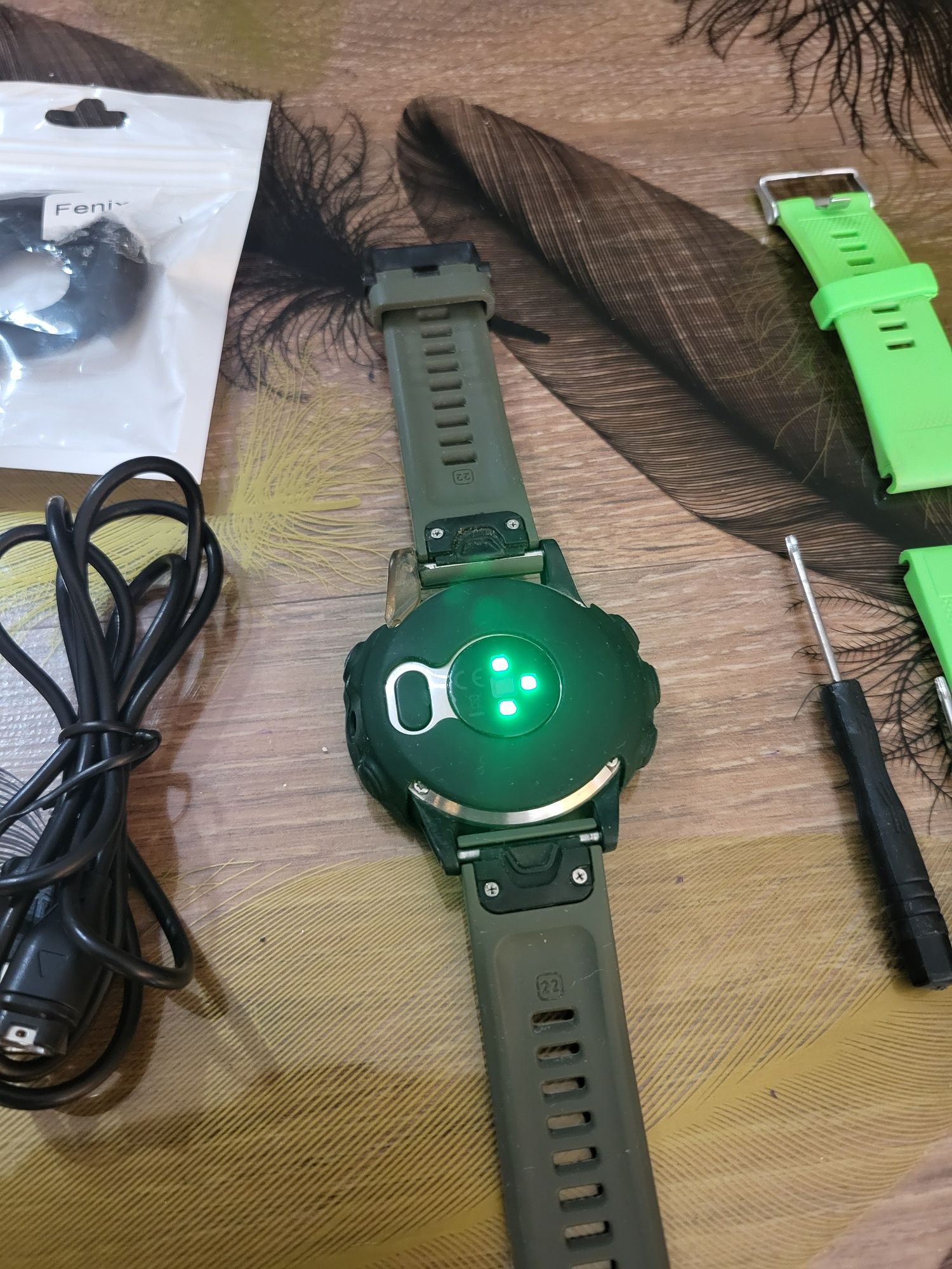 Garmin Fenix 5 Plus . Accesorii Garmin