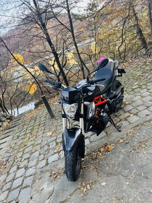 Benelli BN 302 cat. A2