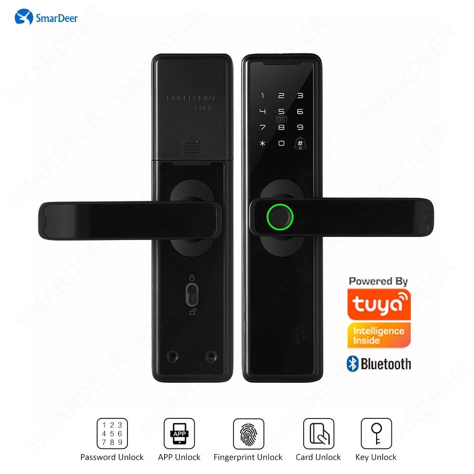 Умный замок автономный биометрический Tuya WiFi, Smart lock WiFi Tuya