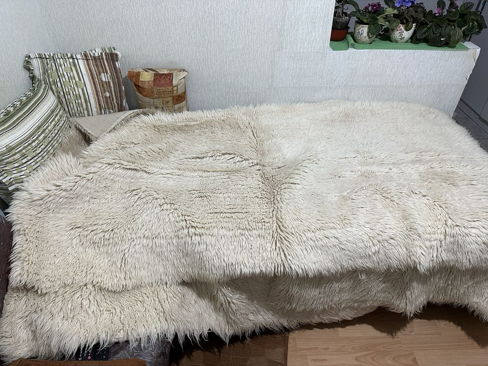 Китеници