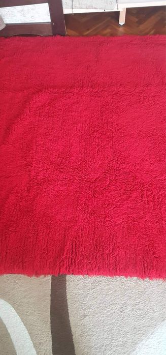 Китеник вълнен, губер