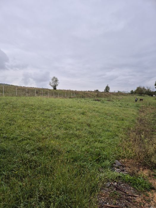 Teren 1.500 mp Sighetu Marmației