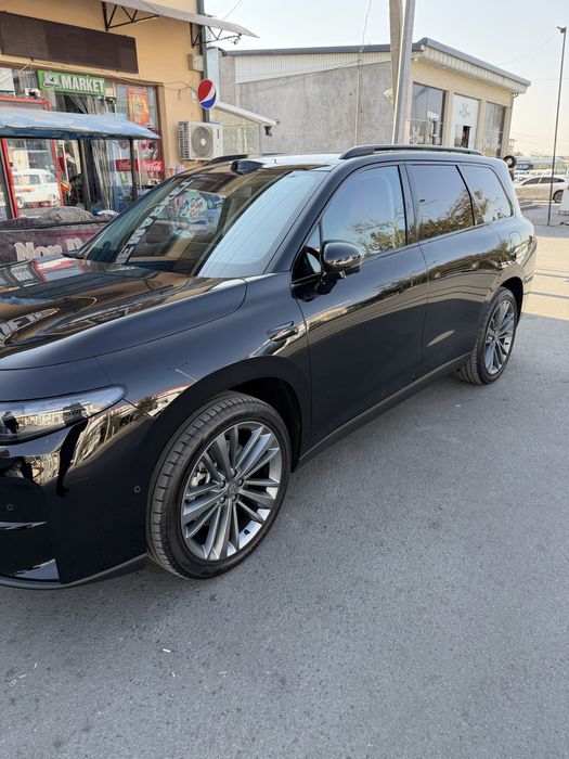 Lepmotrs c16  2026 res