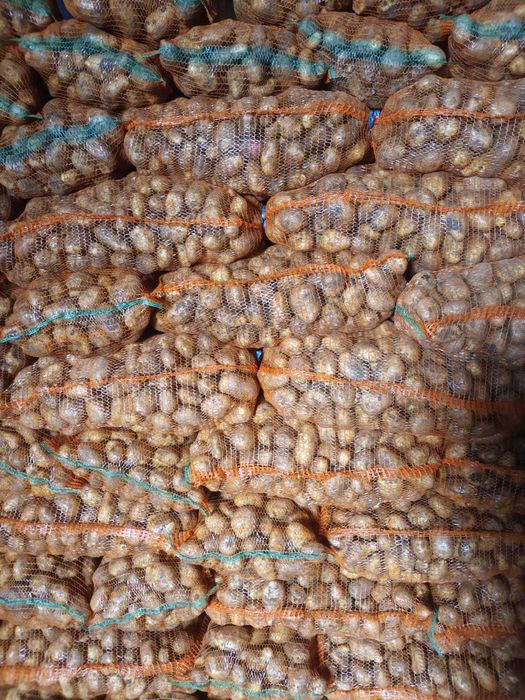 Cartofi alb rosu 50+