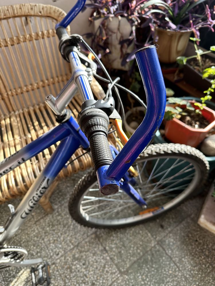 Велосипед Triestina