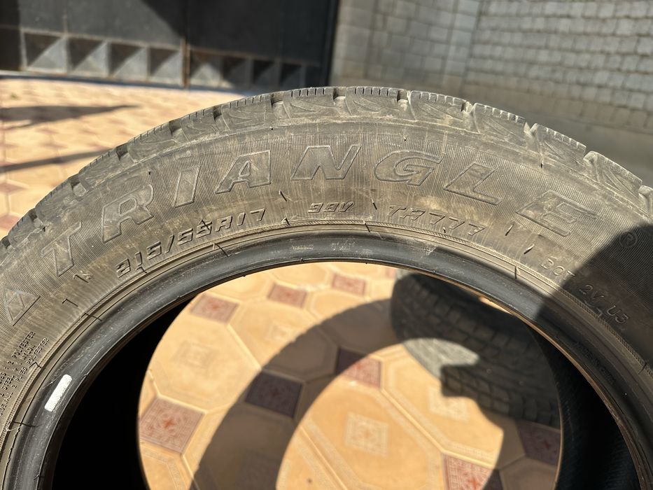 Зимние шины. Triangle