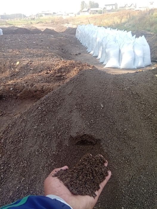 Biogumus N1 nazarbek optom