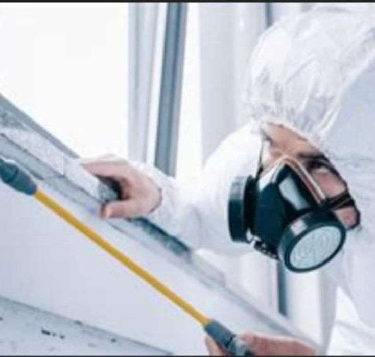 Servicii Dezinsecție plosnite ddd