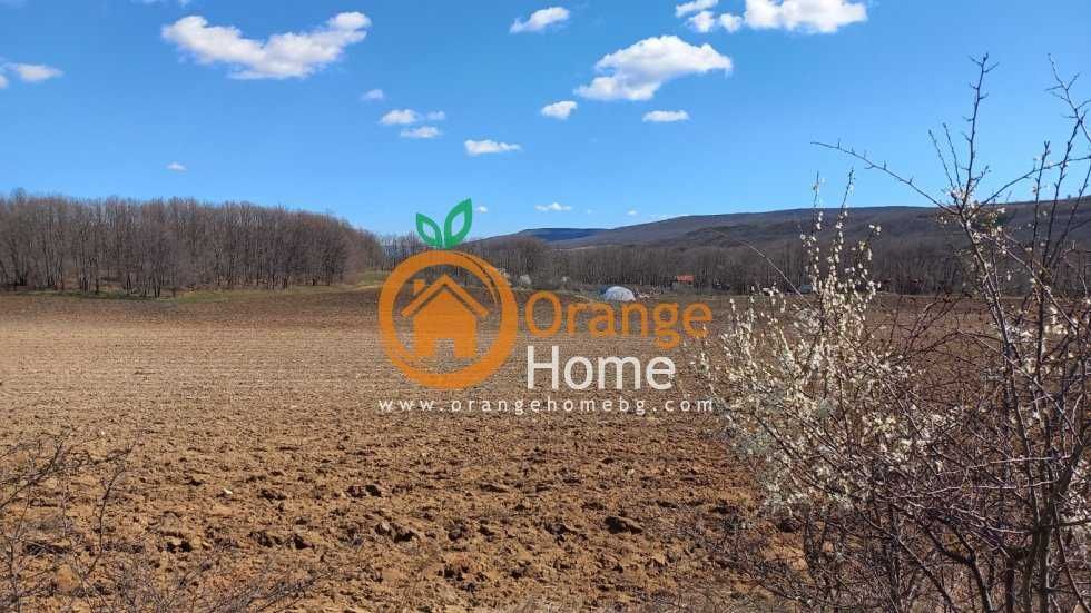 Продава се Парцел в с. Осеново, Област Варна - 1070 кв.м за 18 €/кв.м - Снимка #7