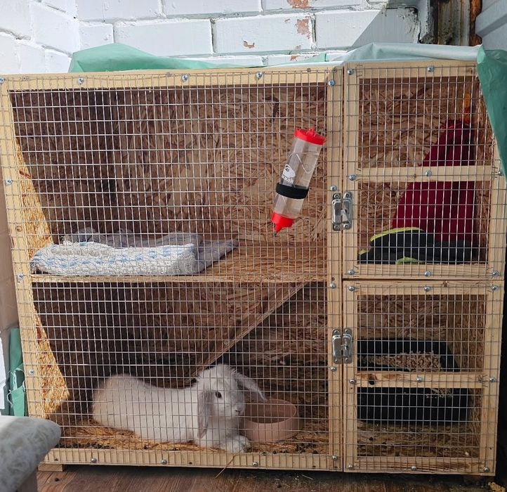 Продам клетку и кролика