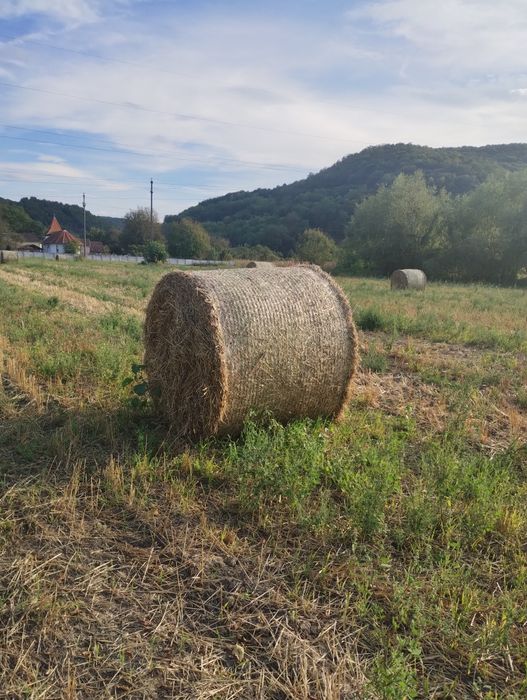 Baloți de paie 2025