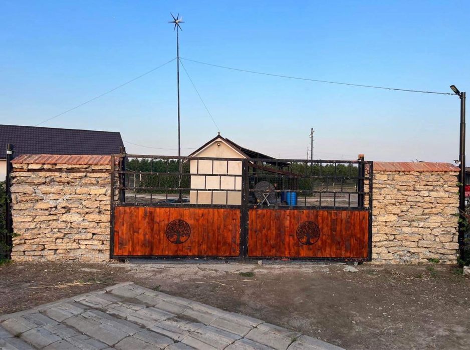 Livada nuci fernor anul 7