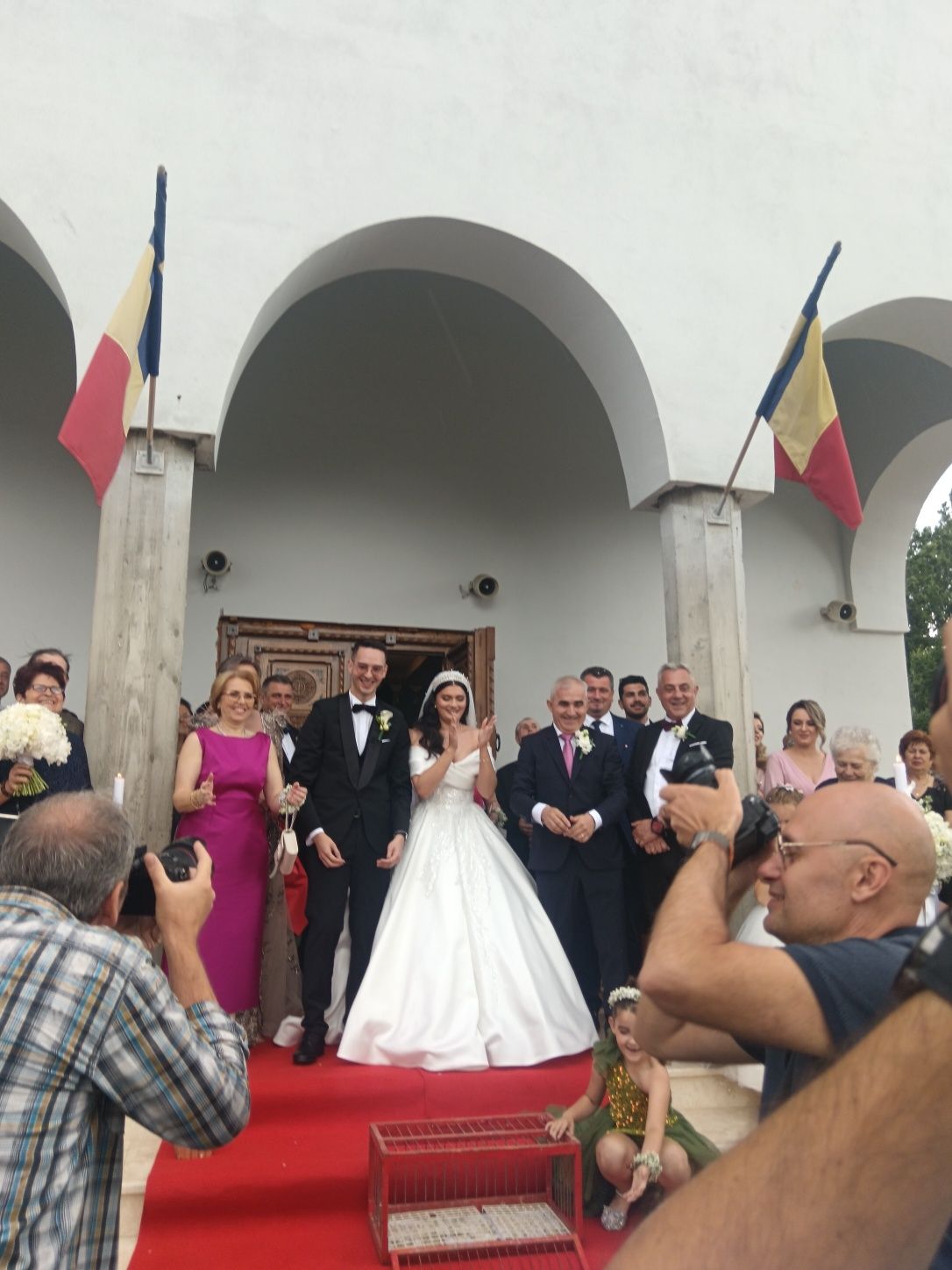 Porumbei evenimente Timișoara