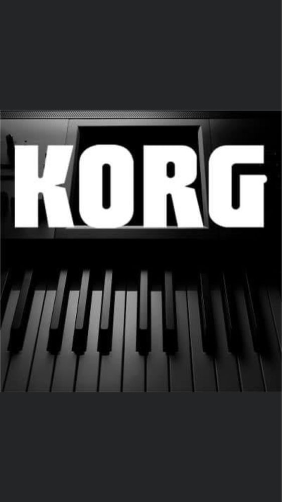 Korg recuperare sistem,instalare resurse de fabrică