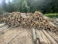 Vând lemn de foc fag in Prahova și pe voucher de enegie