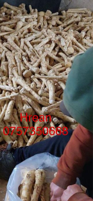 Hrean romanesc si de cultura