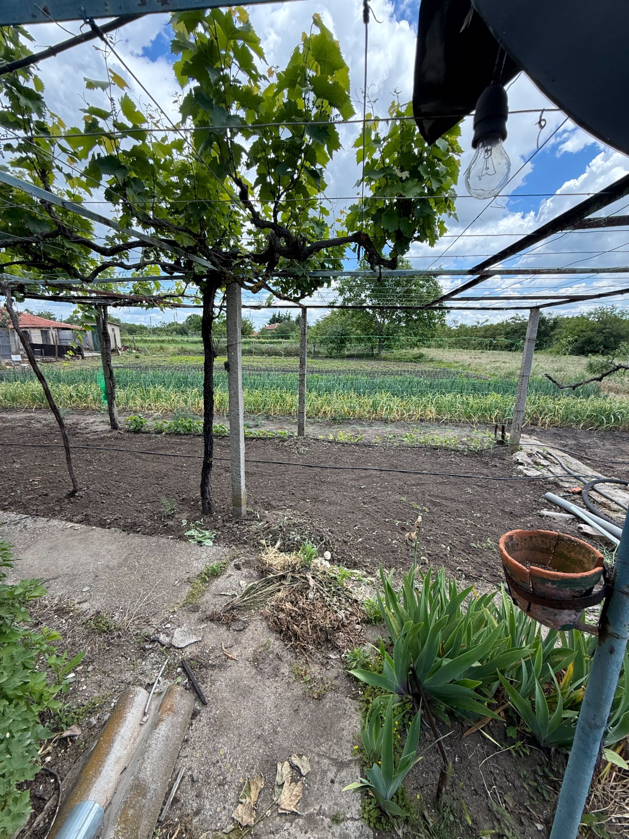 Къща с двор в село Пет Могили
