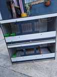 Geanta transport canari 4 compartimente