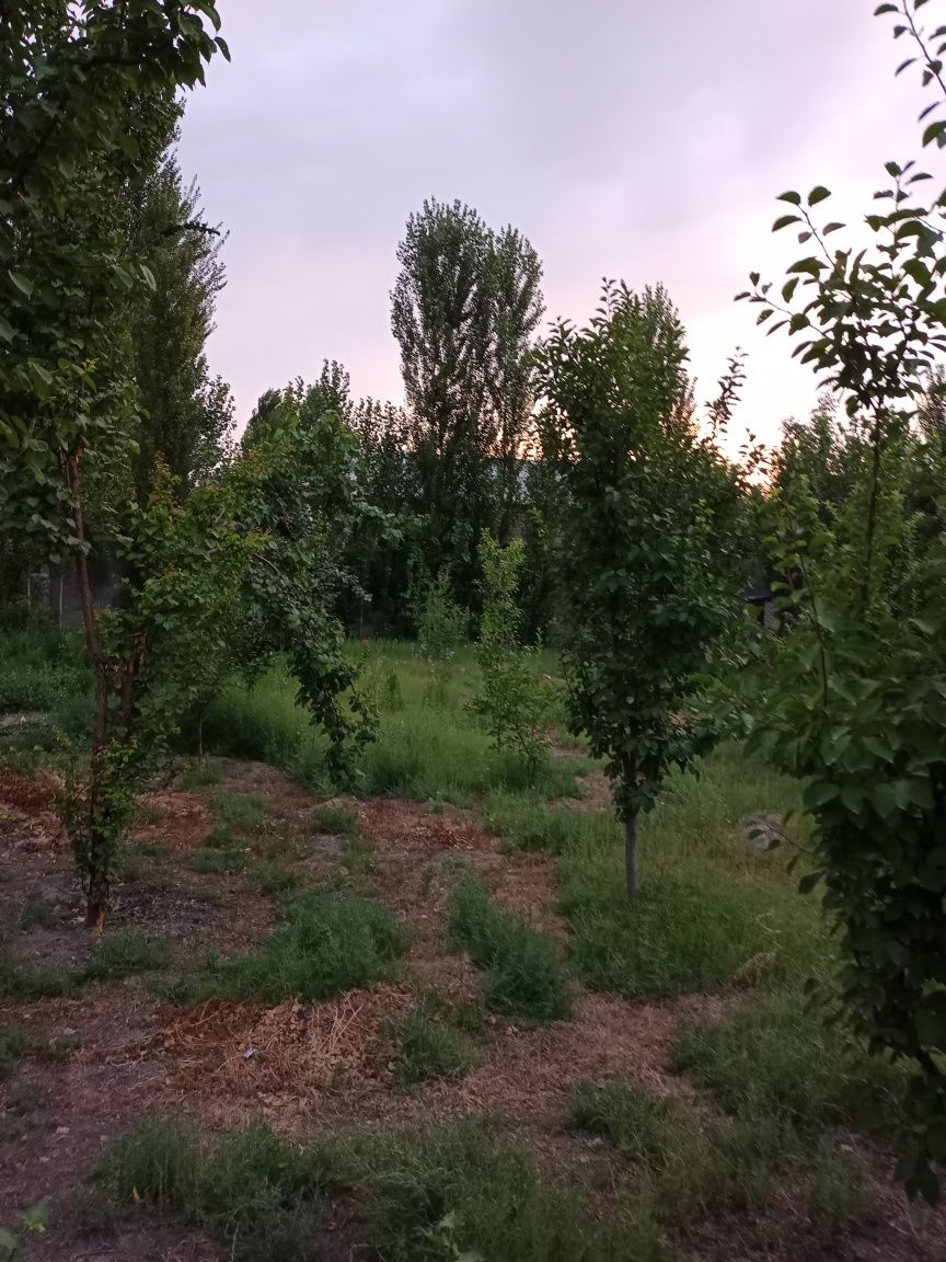 Yer uchaska sotiladi